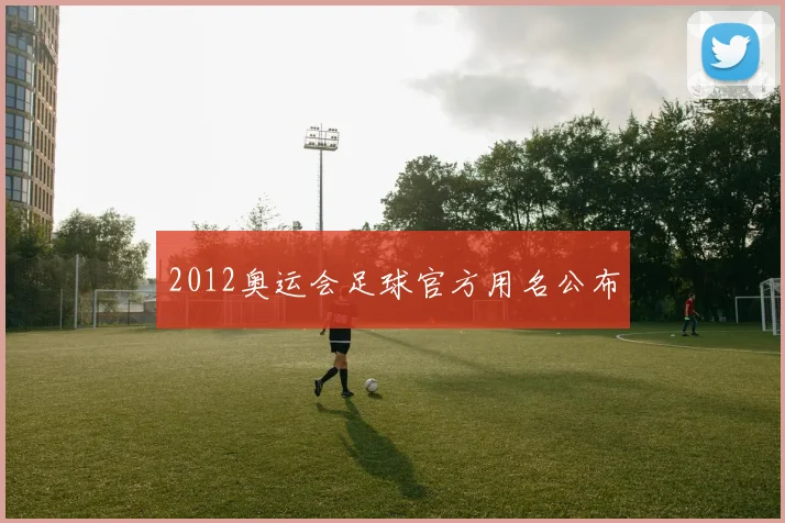 2012奥运会足球官方用名公布